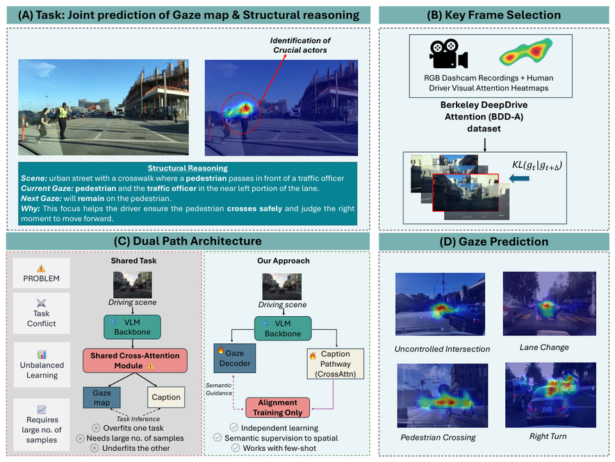FSDAM: Few-Shot Driving Attention Modeling via Vision-Language Coupling
